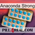 Anaconda Strong new08